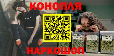 гидропоника Новозыбков