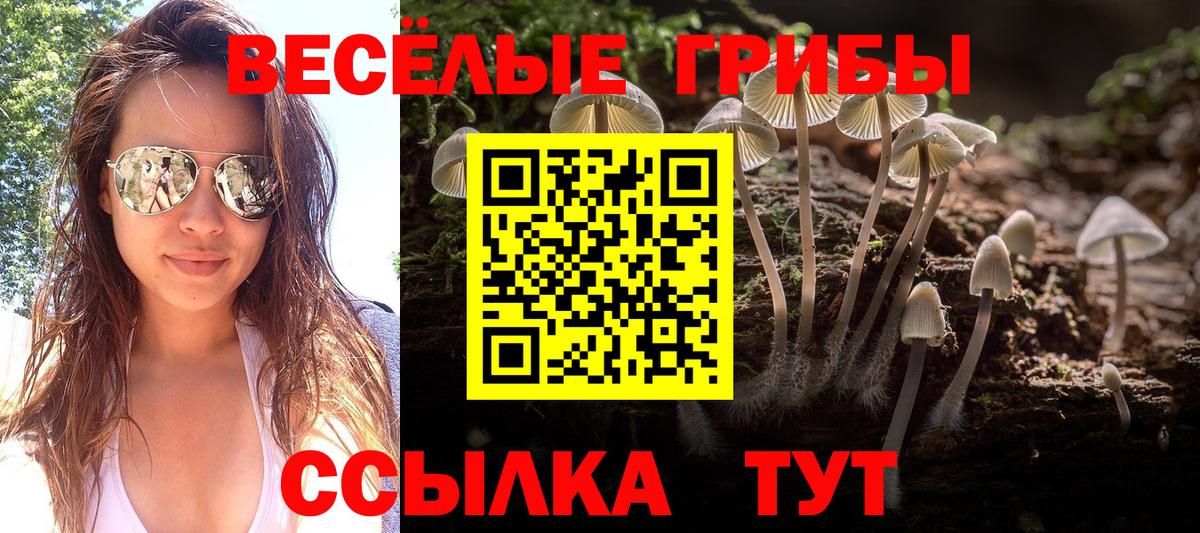 Сибай  Галлюциногенные грибы Magic Shrooms  Вход с VPN 