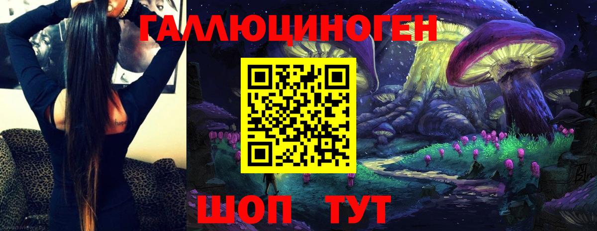 Псилоцибиновые грибы Cubensis Сибай